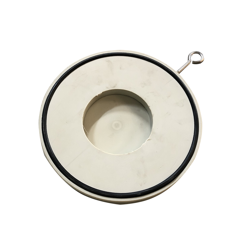 PPH闆式(shì)止回閥(fá)